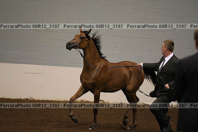 Proof 08r12_3197