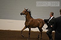 08r12_3197 proof