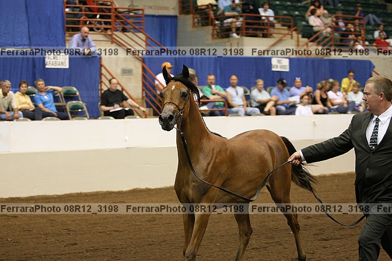 Proof 08r12_3198
