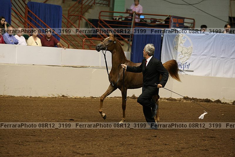 Proof 08r12_3199