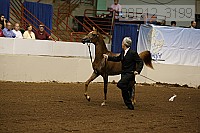 08r12_3199 proof