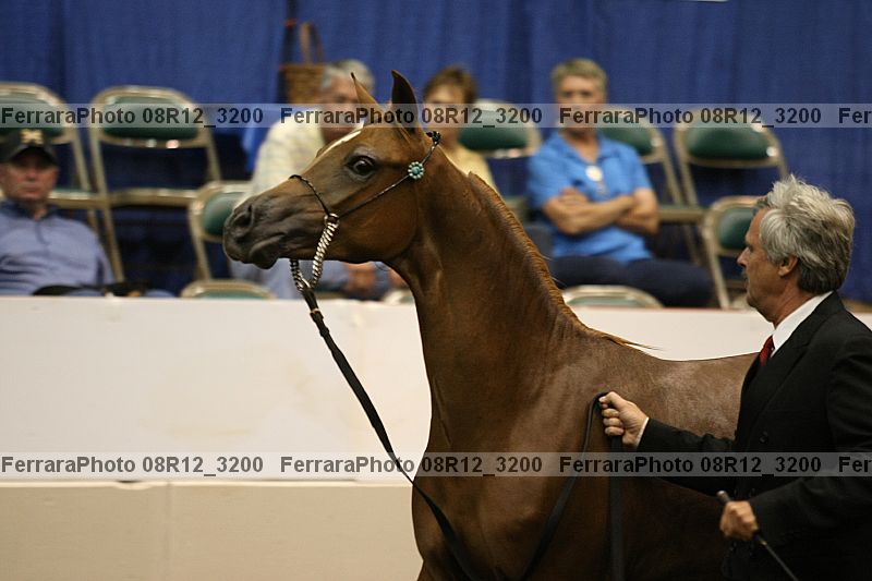 Proof 08r12_3200