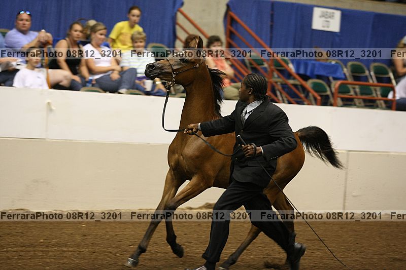 Proof 08r12_3201