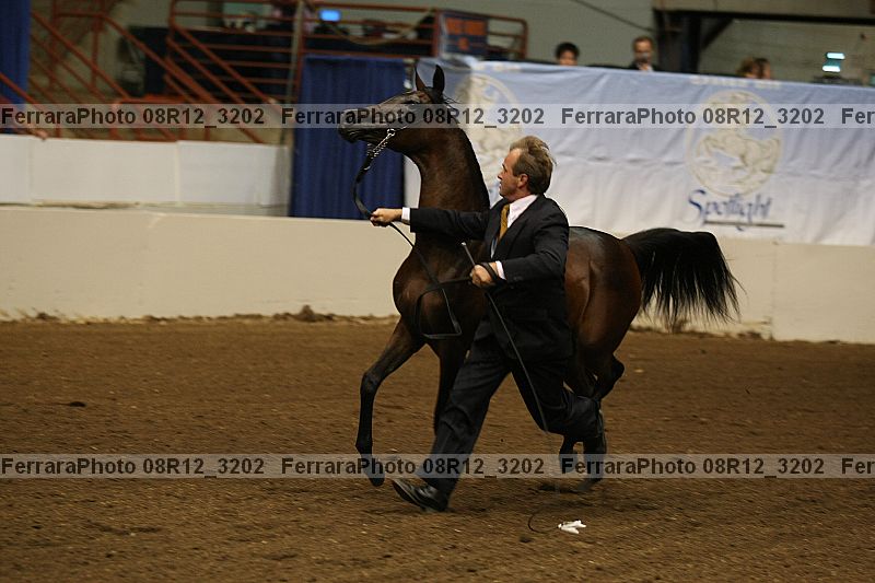 Proof 08r12_3202