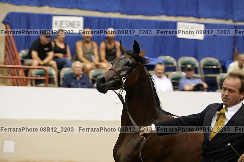 Proof 08r12_3203