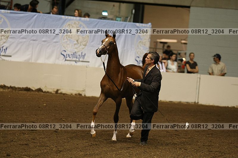 Proof 08r12_3204