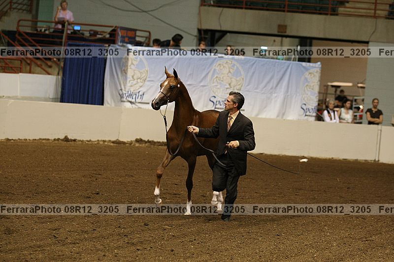 Proof 08r12_3205