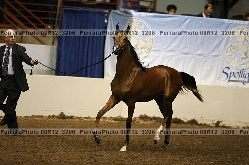 Proof 08r12_3206
