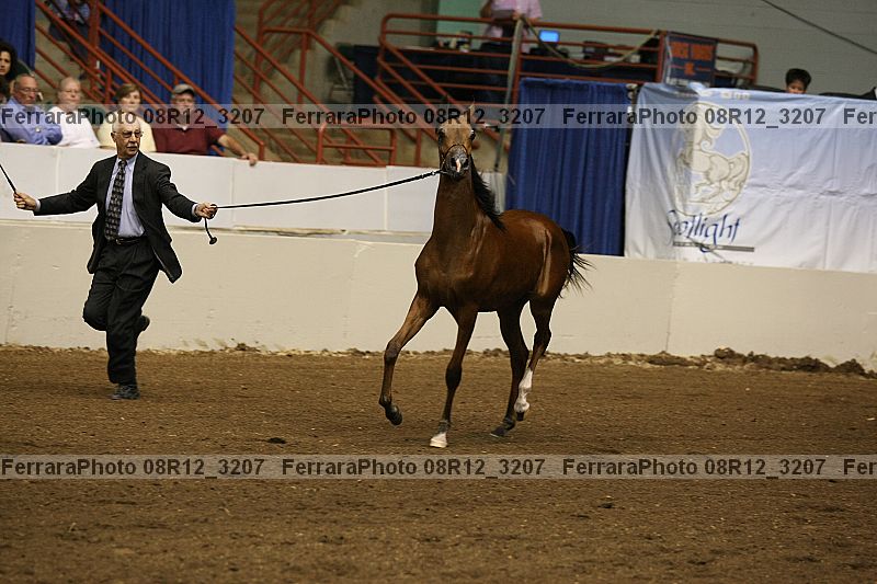 Proof 08r12_3207