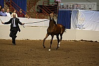 08r12_3207 proof