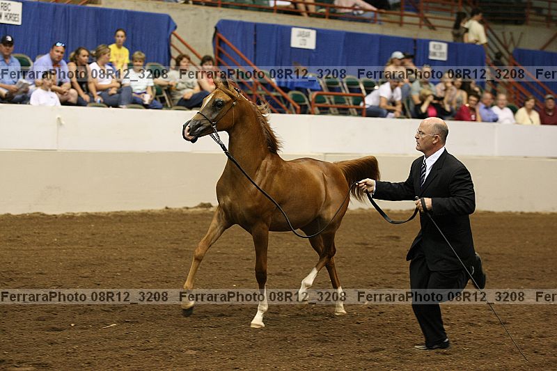 Proof 08r12_3208