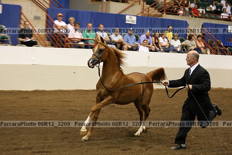 Proof 08r12_3209