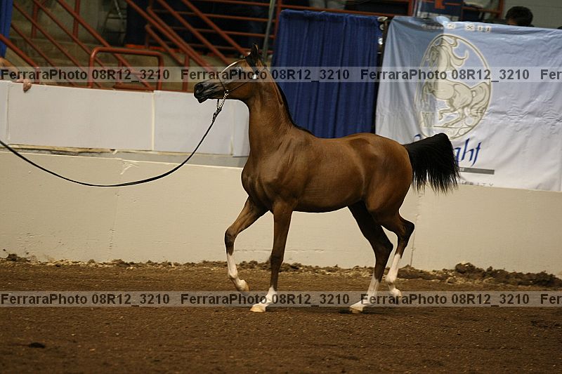 Proof 08r12_3210