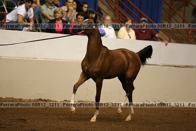 Proof 08r12_3211