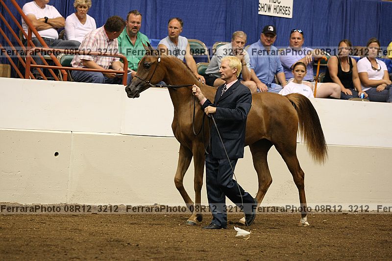 Proof 08r12_3212