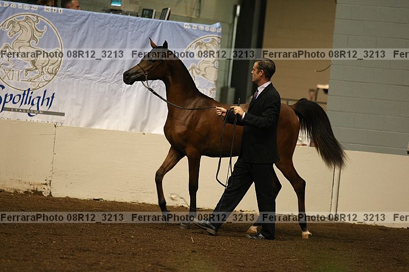 Proof 08r12_3213
