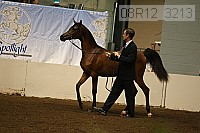 08r12_3213 proof