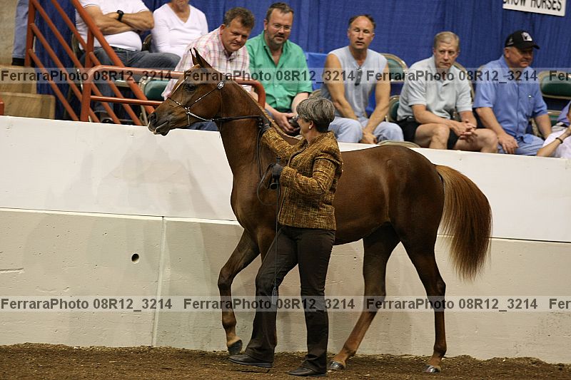 Proof 08r12_3214
