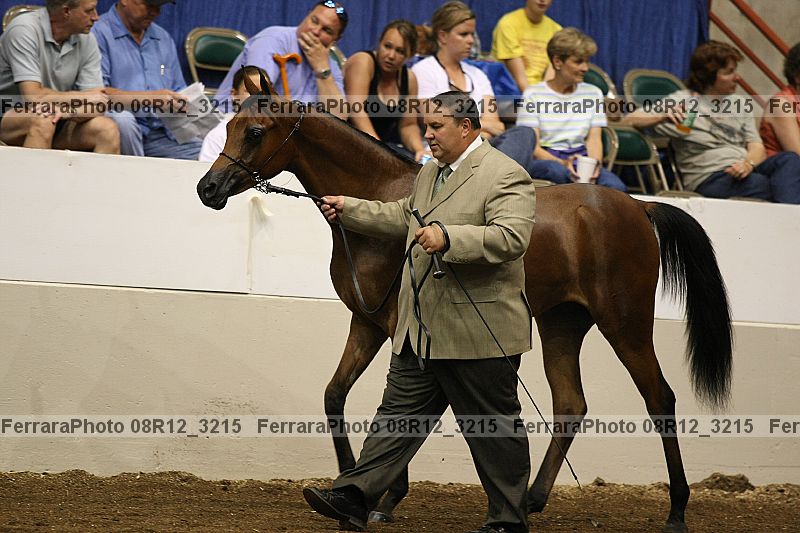 Proof 08r12_3215