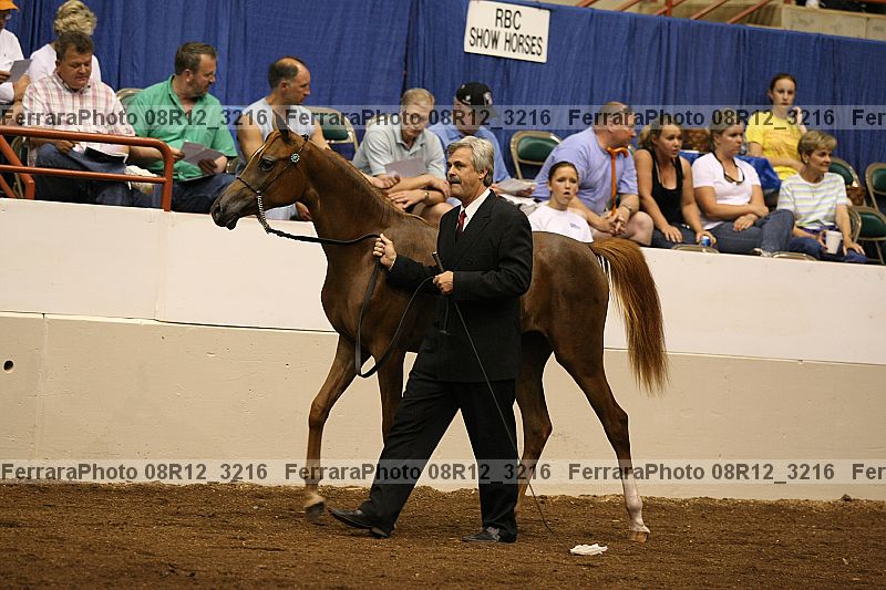 Proof 08r12_3216
