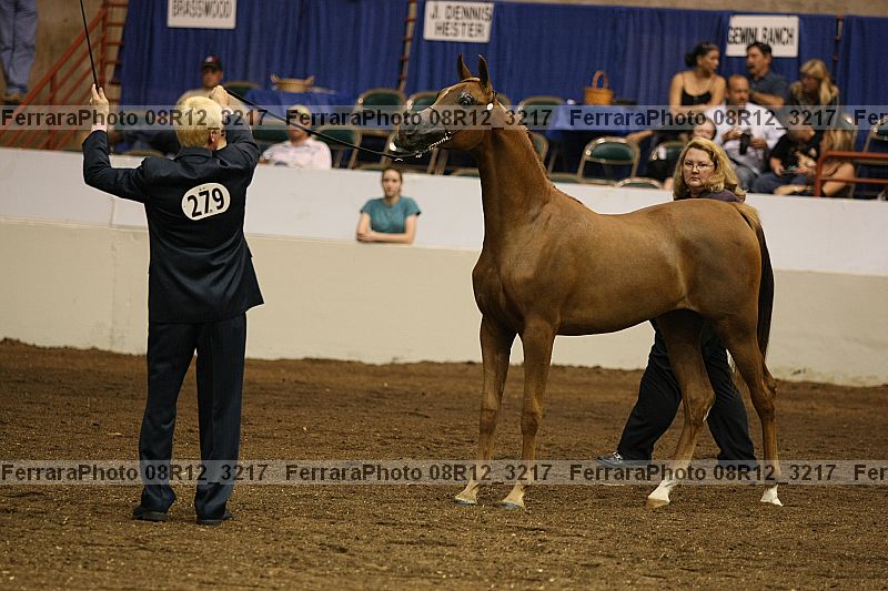 Proof 08r12_3217