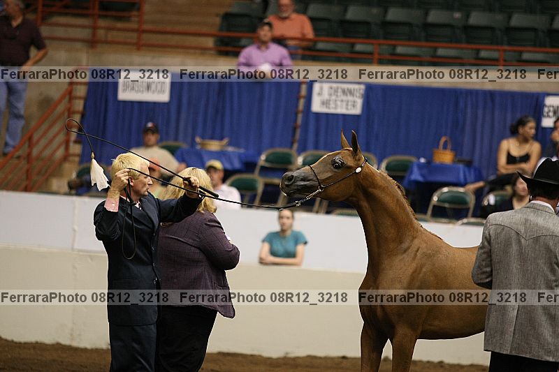 Proof 08r12_3218