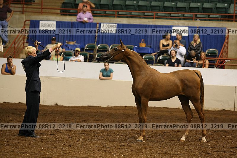 Proof 08r12_3219