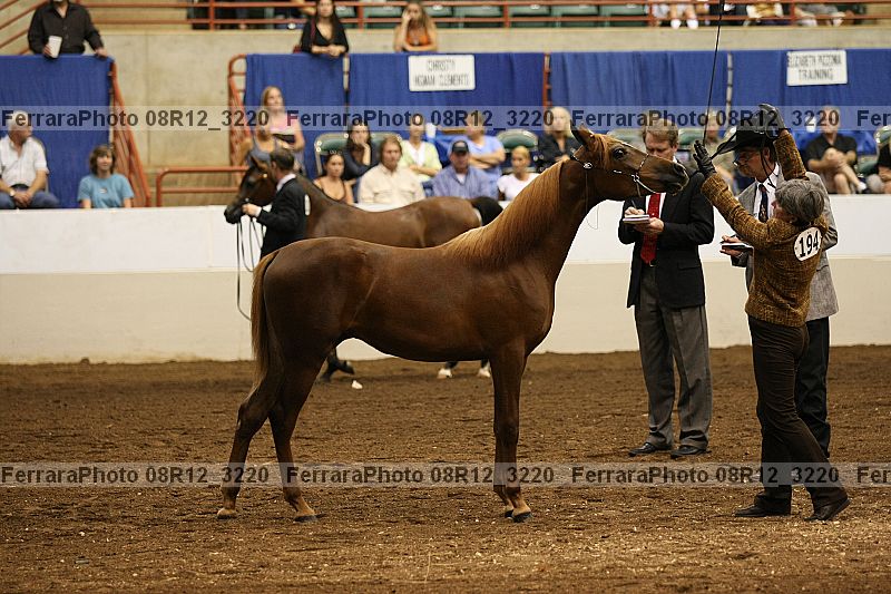 Proof 08r12_3220