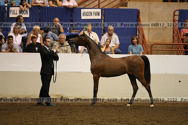 Proof 08r12_3222