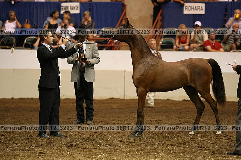 Proof 08r12_3223