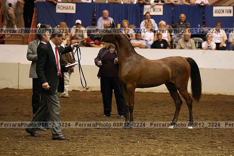 Proof 08r12_3224