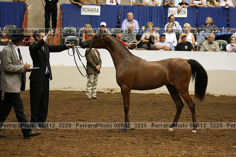 Proof 08r12_3225