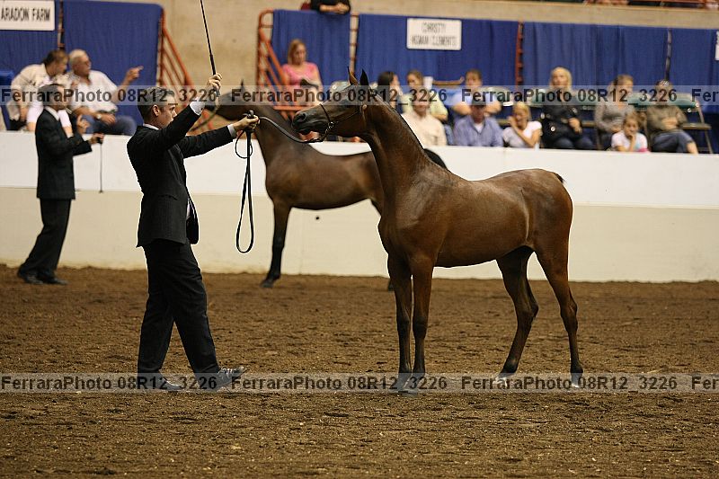 Proof 08r12_3226