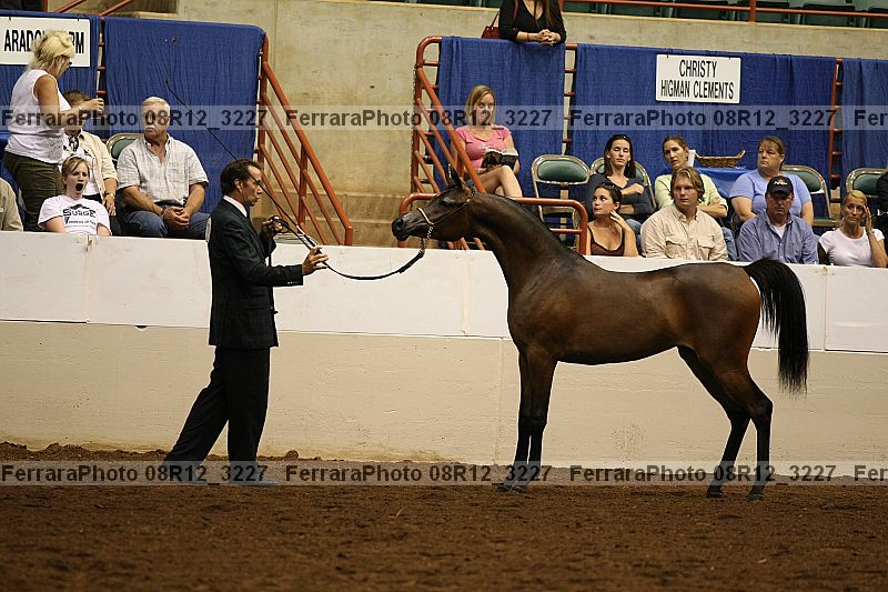 Proof 08r12_3227