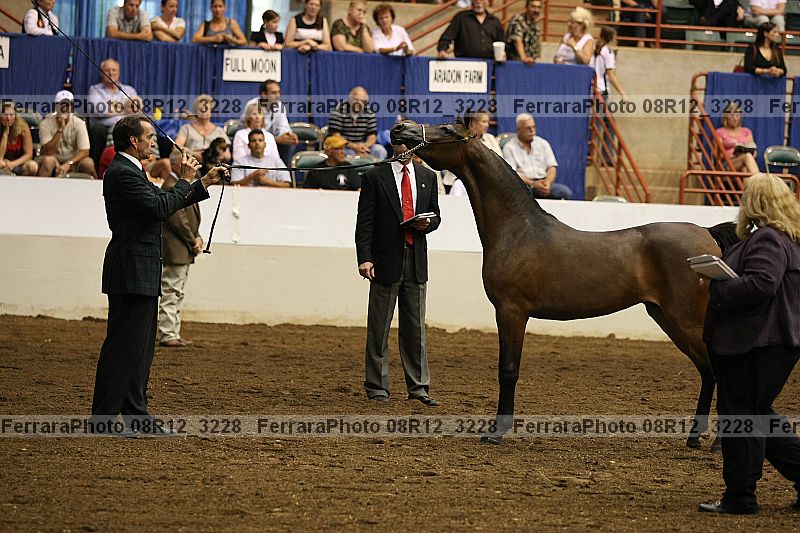 Proof 08r12_3228
