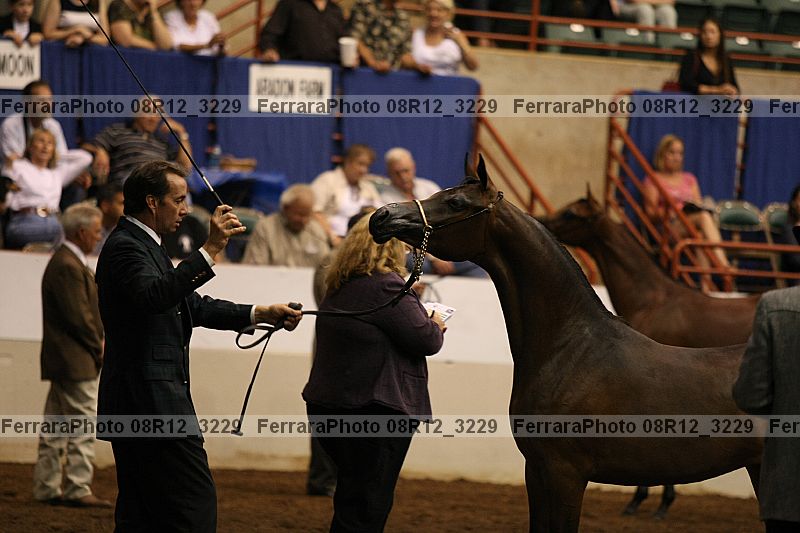 Proof 08r12_3229