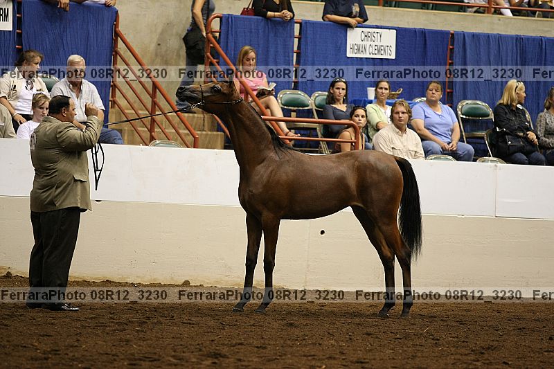 Proof 08r12_3230