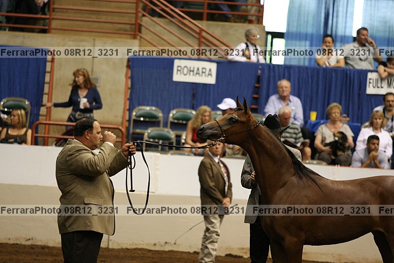 Proof 08r12_3231
