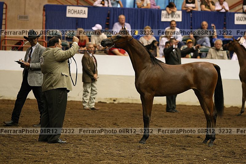 Proof 08r12_3232