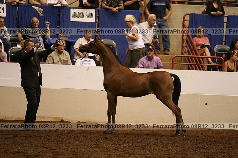 Proof 08r12_3233