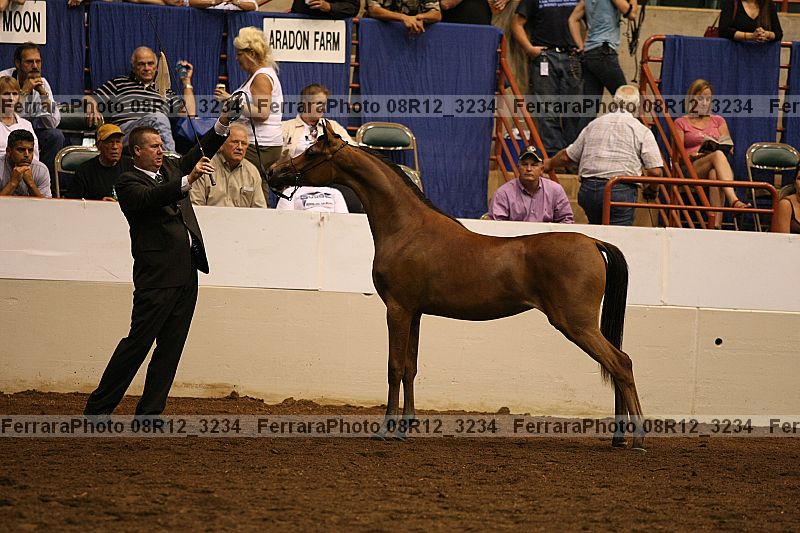 Proof 08r12_3234