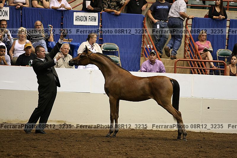Proof 08r12_3235