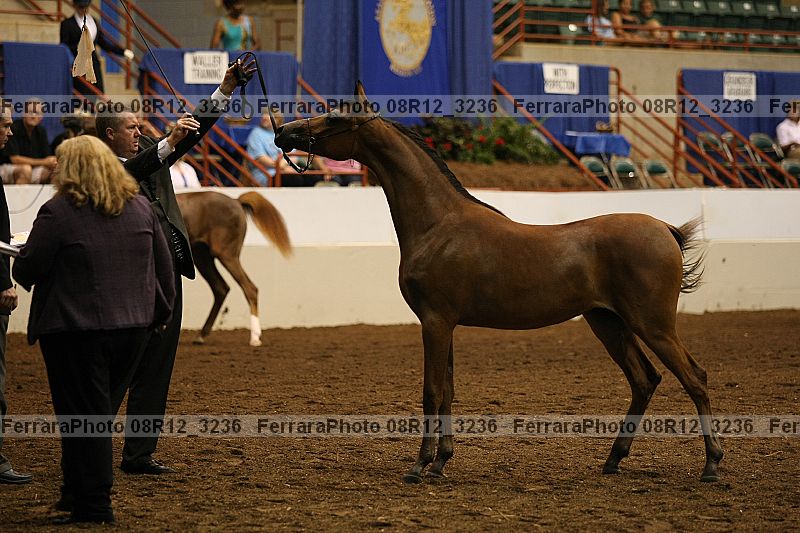 Proof 08r12_3236