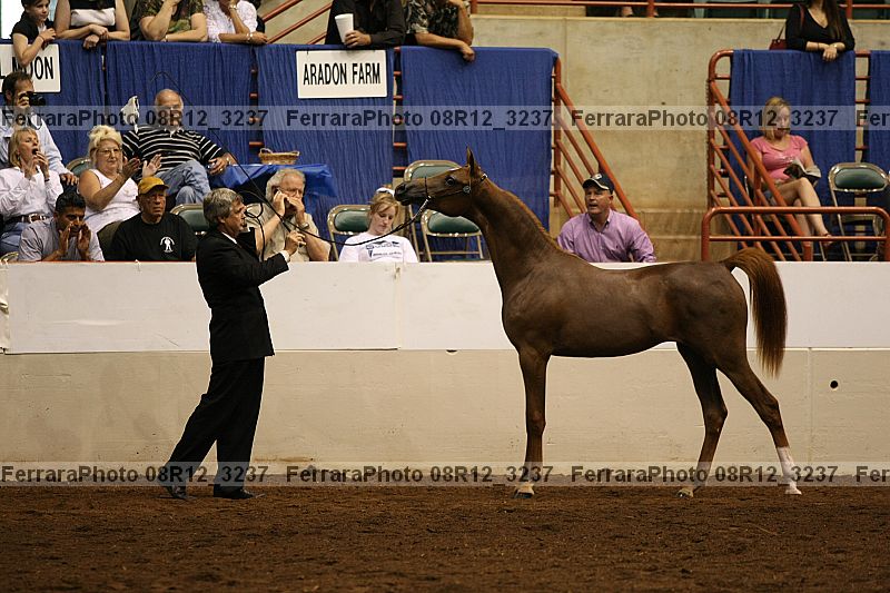 Proof 08r12_3237