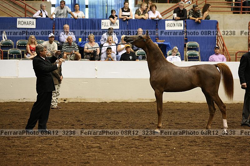 Proof 08r12_3238