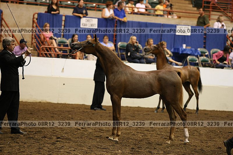 Proof 08r12_3239