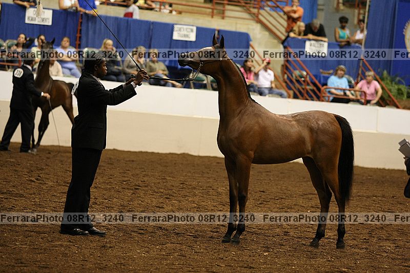 Proof 08r12_3240