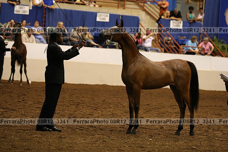Proof 08r12_3241