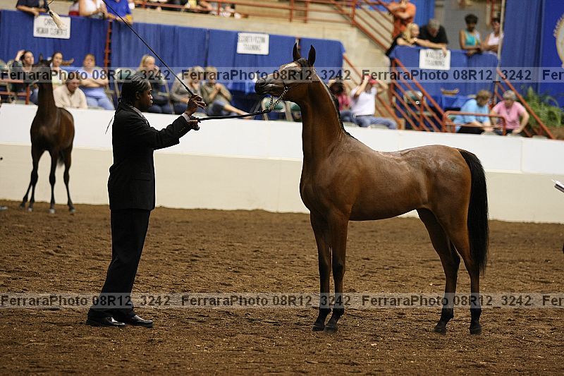 Proof 08r12_3242