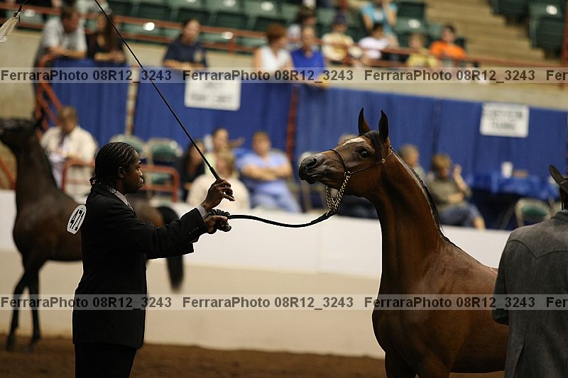 Proof 08r12_3243